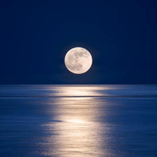 Badmoon001