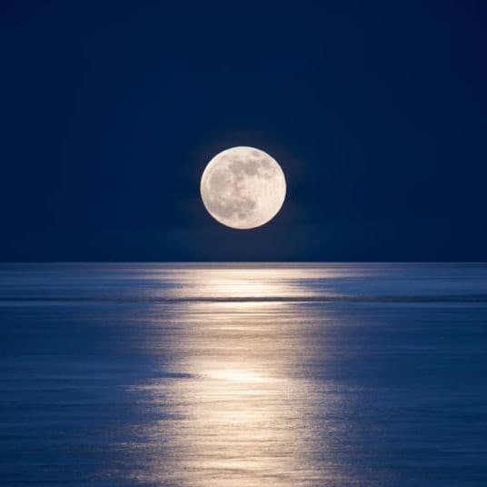 Badmoon001