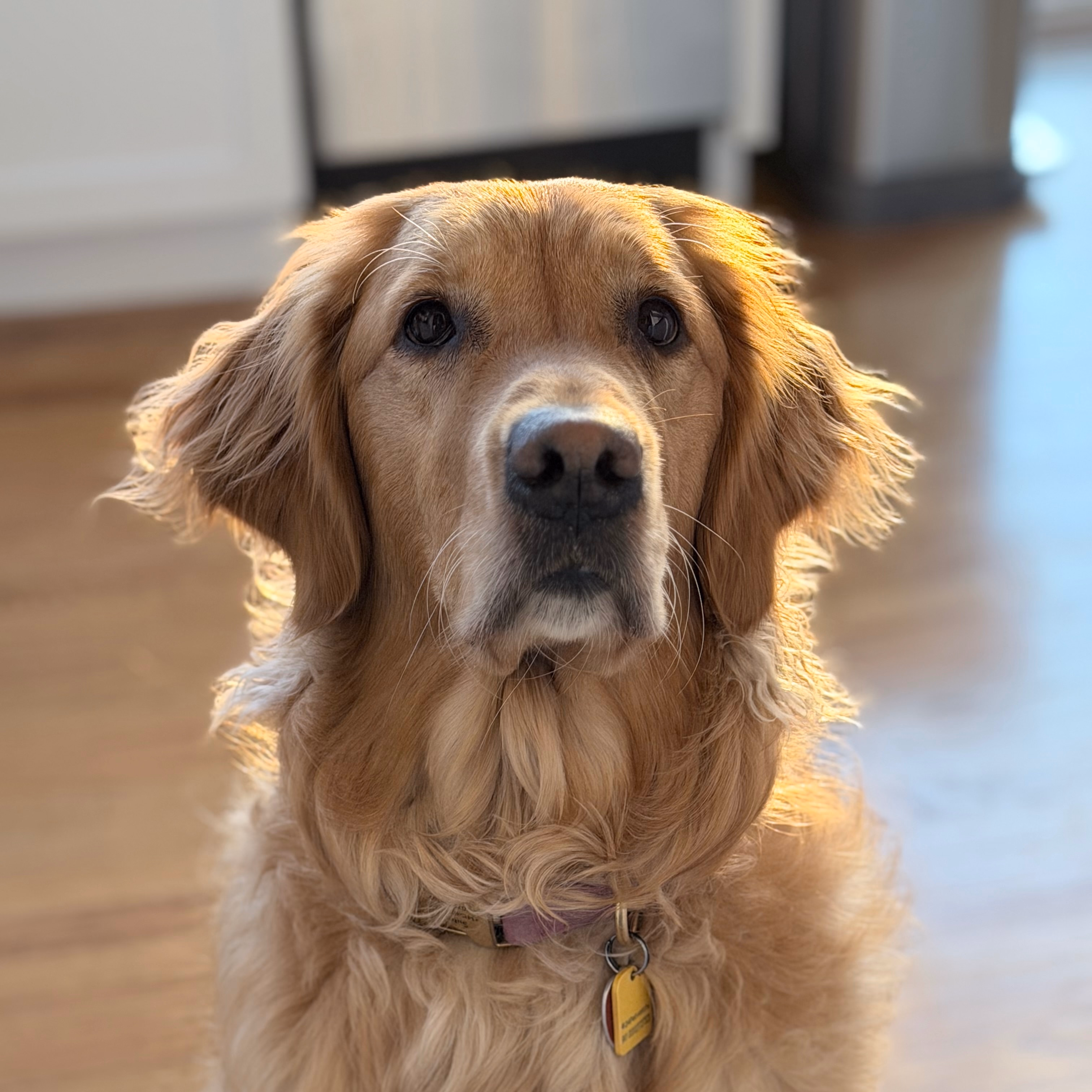 Profile