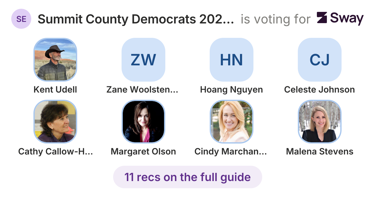 Summit County Democrats 2026 Endorsements recommendations | Sway